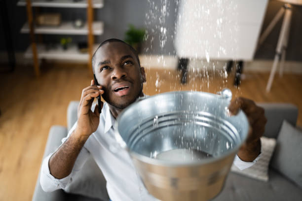 Best Professional water damage repair  in Greenbrier, AR