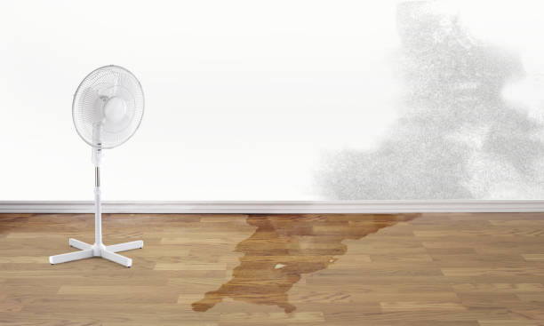 Best Water damage restoration insurance claims  in Greenbrier, AR