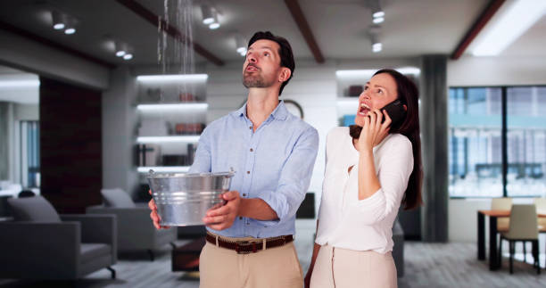 Best Mold removal after water damage  in Greenbrier, AR